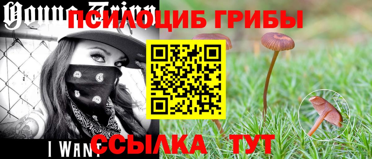 Псилоцибиновые грибы ЛСД Чита