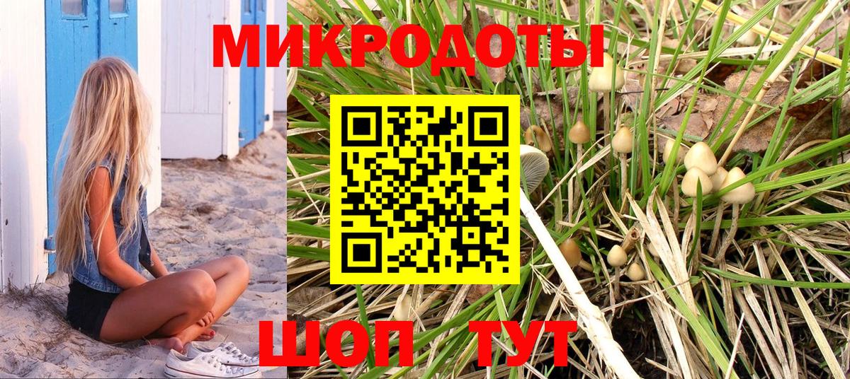 Чита  Галлюциногенные грибы MAGIC MUSHROOMS  Вход с VPN  как найти   Галлюциногенные грибы Cubensis 